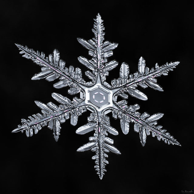 The image that inspired the design of the 14 Karat Diamond Snowflake Pendant