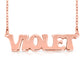 14 Karat "Violet" Style Nameplate