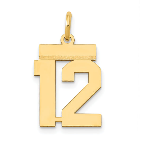 14k Small Polished Number 12 Charm