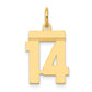 14k Small Polished Number 14 Charm