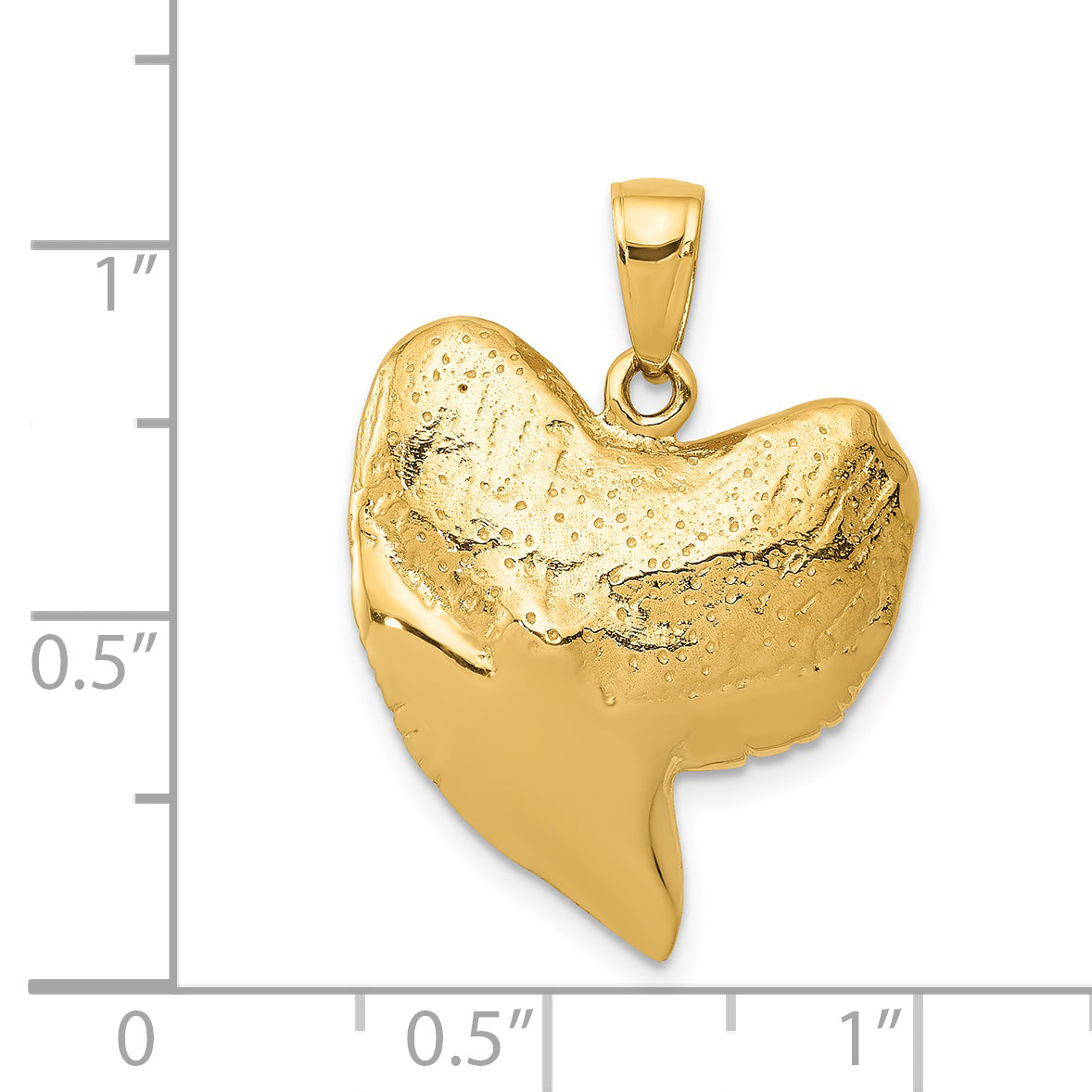 14K Solid Polished 3-D Shark Tooth Pendant