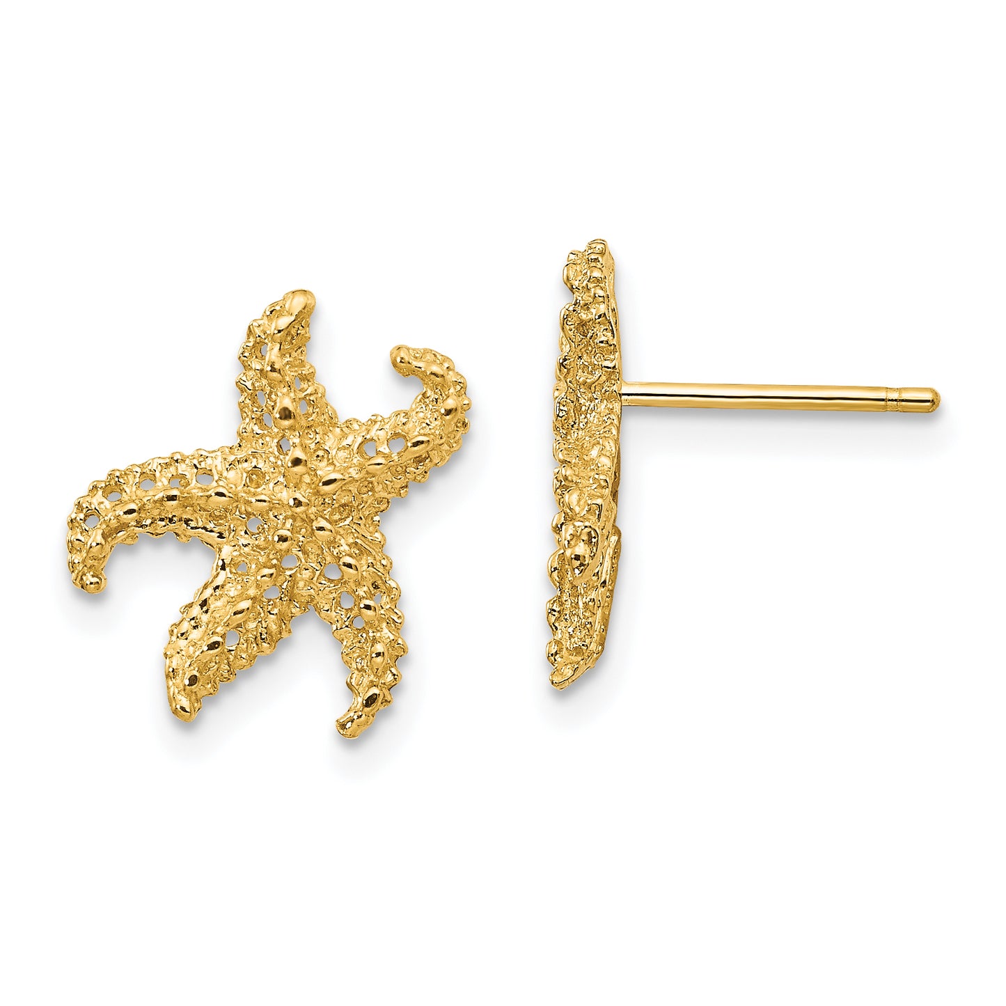 14k Starfish Earrings