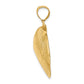 14K Textured Clam Shell Charm