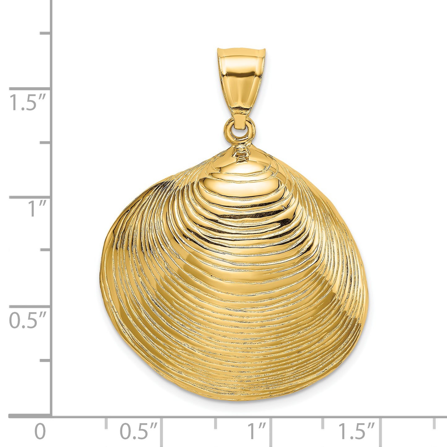 14K Textured Clam Shell Charm