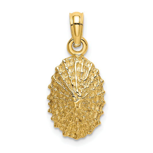 14K Textured Limpet Shell Charm