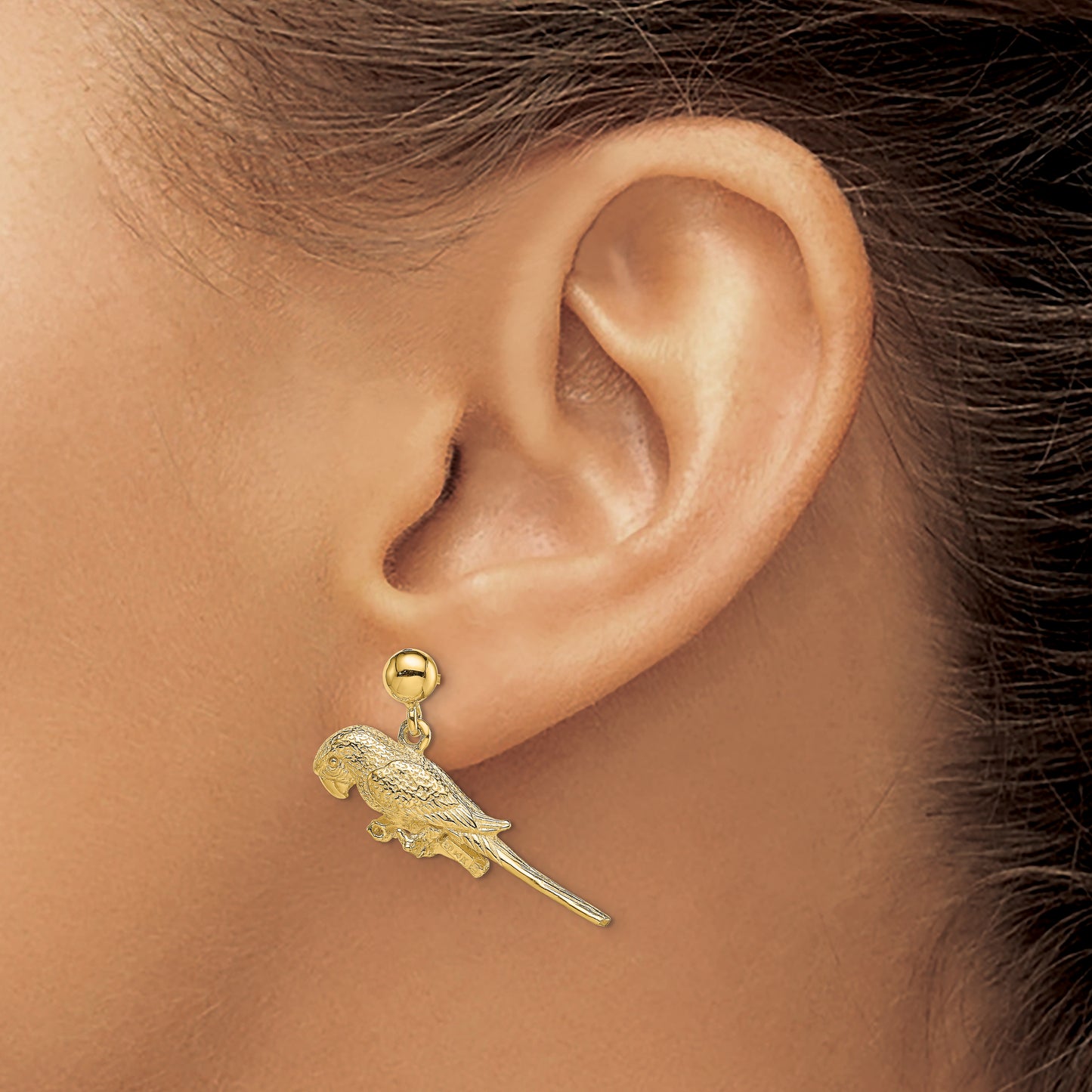 14K 3-D Parrot Dangle Earrings